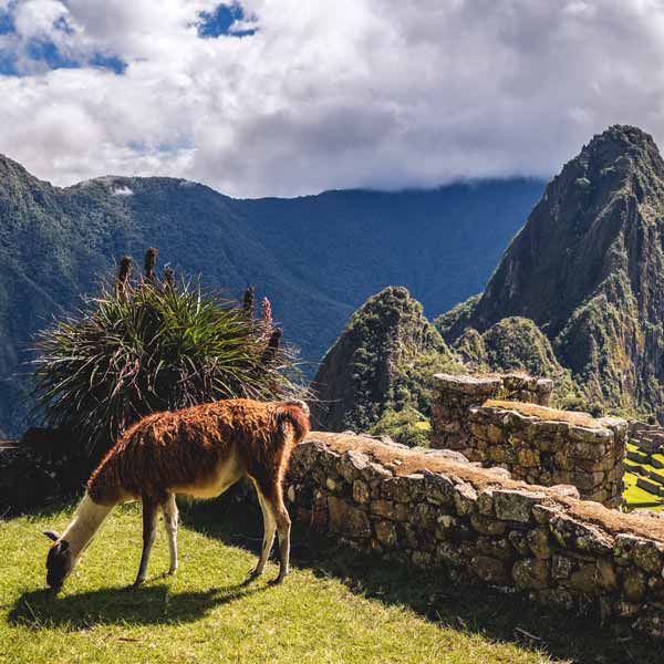 The Road to Machu Picchu