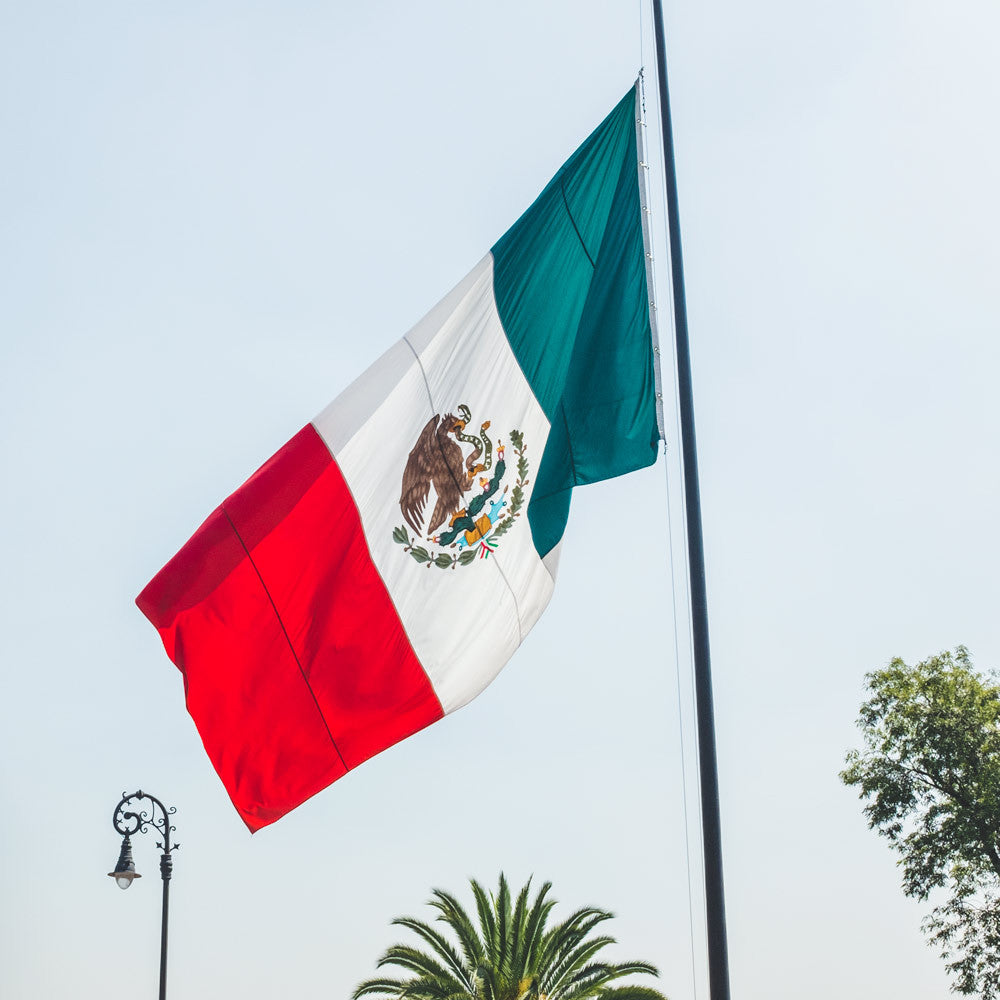 LSTN Travels to Mexico with Starkey Hearing Foundation