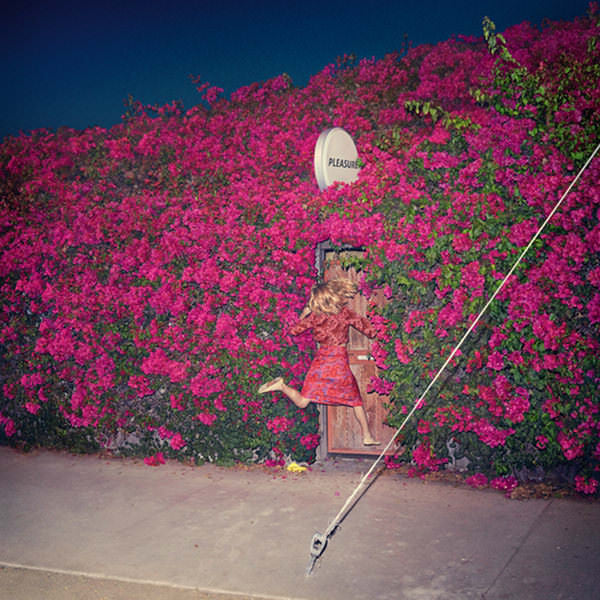 Our Latest Collaboration - Feist's 'Pleasure'