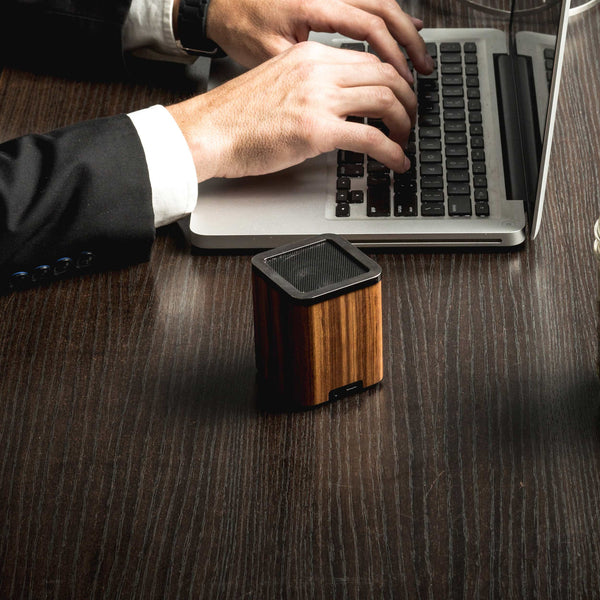 The Satellite features portable design encased in real wood. At only 3.5